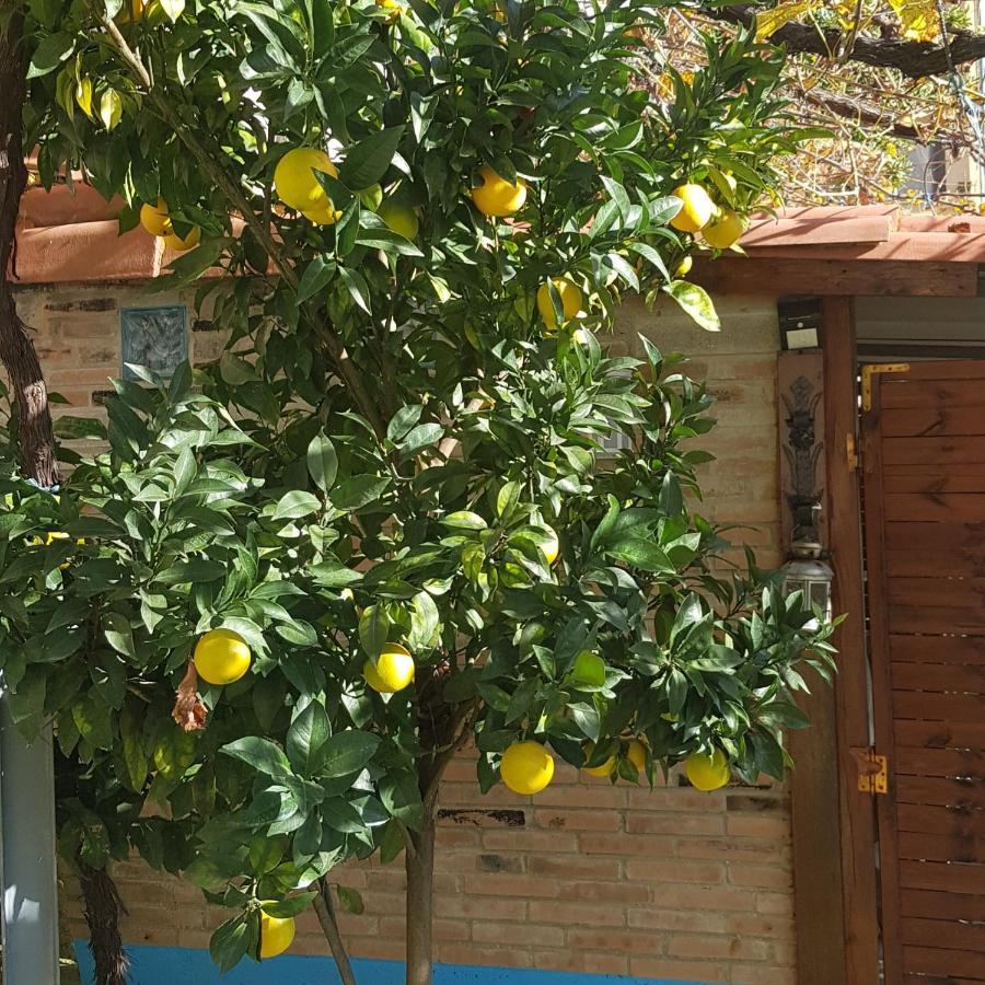 קנגס דל נרסאה Hotel Alina מראה חיצוני תמונה